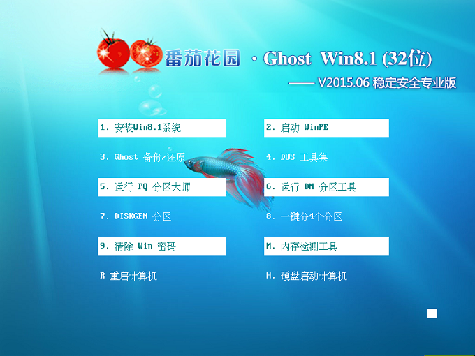 番茄花园 Ghost Win8.1 X86 稳定安全专业版 V2015.6 (32位)